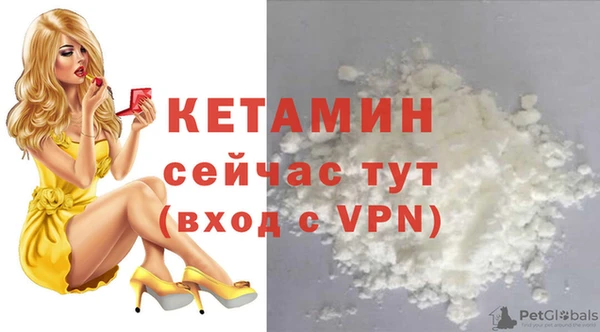 крисы Горняк