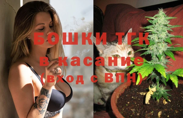 стафф Горно-Алтайск