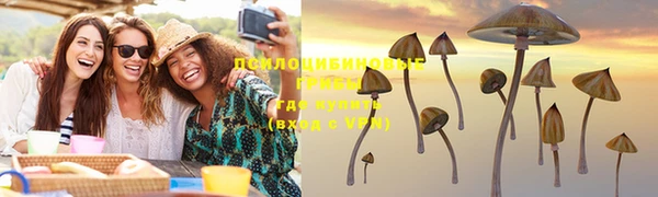 стафф Горно-Алтайск