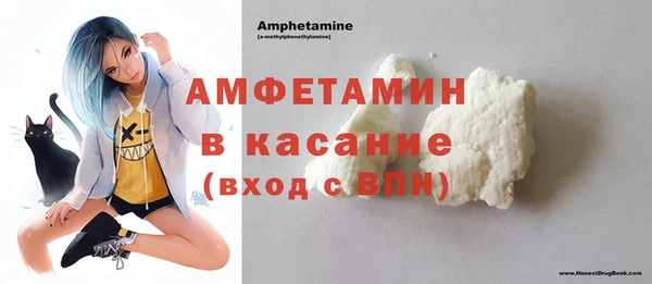 крисы Горняк