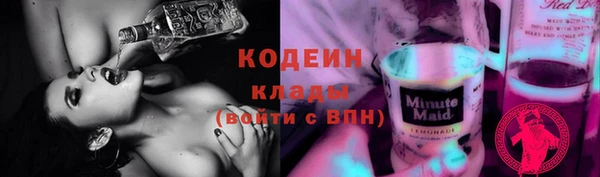 крисы Горняк