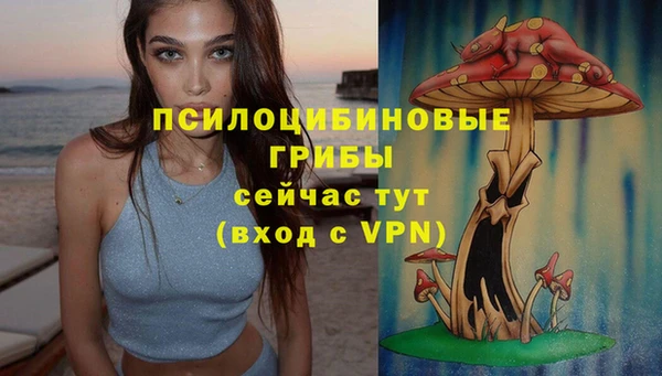стафф Горно-Алтайск