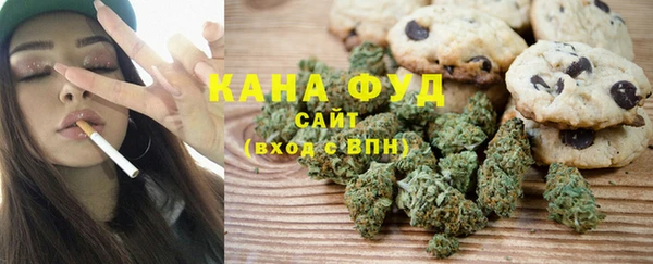 мдпв Горнозаводск