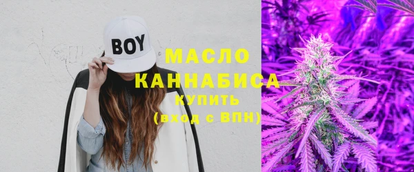 мдпв Горнозаводск