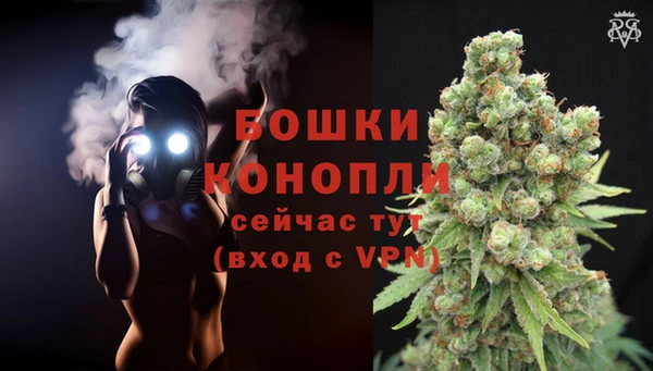 мдпв Горнозаводск