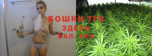 крисы Горняк