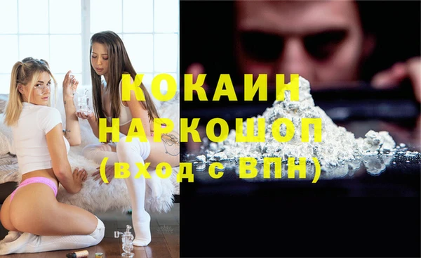крисы Горняк