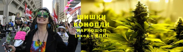 мдпв Горнозаводск