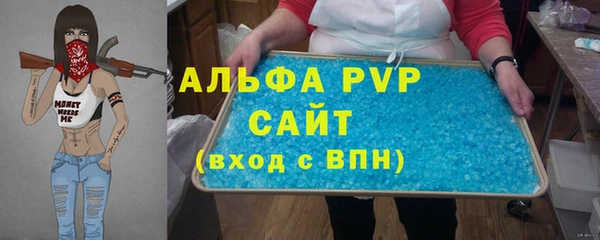 крисы Горняк
