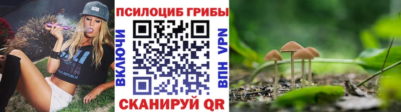 Галлюциногенные грибы ЛСД  магазин продажи   Мценск 