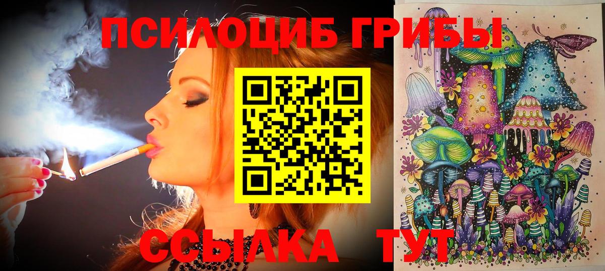 Галлюциногенные грибы Magic Shrooms  Псилоцибиновые грибы Cubensis  Вход с VPN  Мценск 