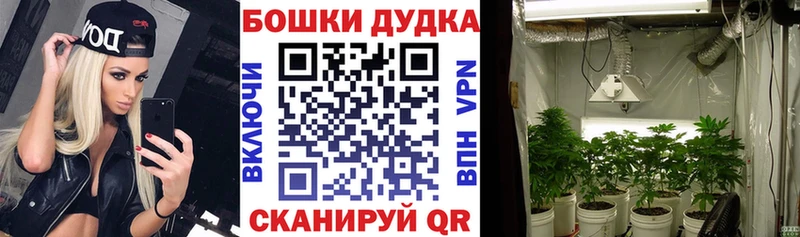 Бошки марихуана планчик  Мценск 